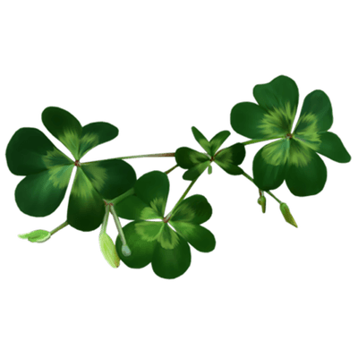 Geoffrey Reiki Radiesthésie Sonothérapie Diapasons Orléans